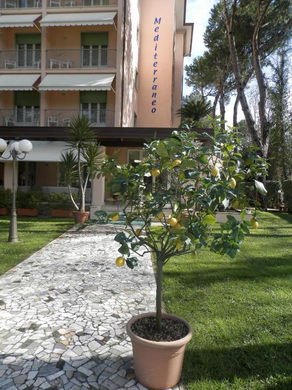 Hotel Mediterraneo Marina di Pietrasanta Bagian luar foto